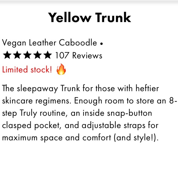 💛Truly Yellow Vegan Leather Trunk - Picture 10 of 14
